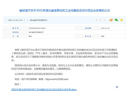 2021年湖北省信息化和工业化融合试点示范企业名单