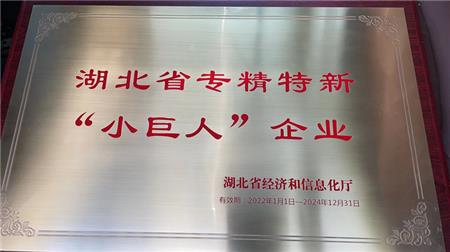 武汉仕全兴获省级专精特新企业称号